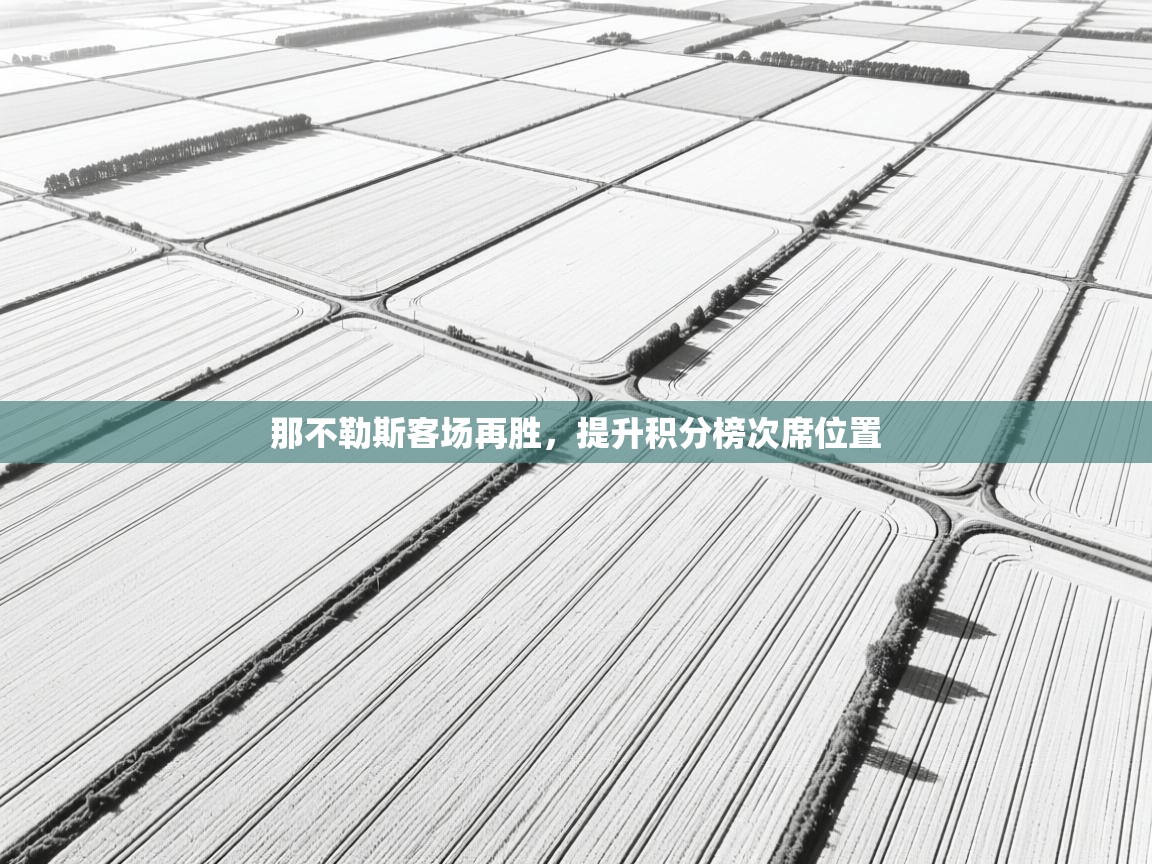 那不勒斯客场再胜,提升积分榜次席位置 第2张