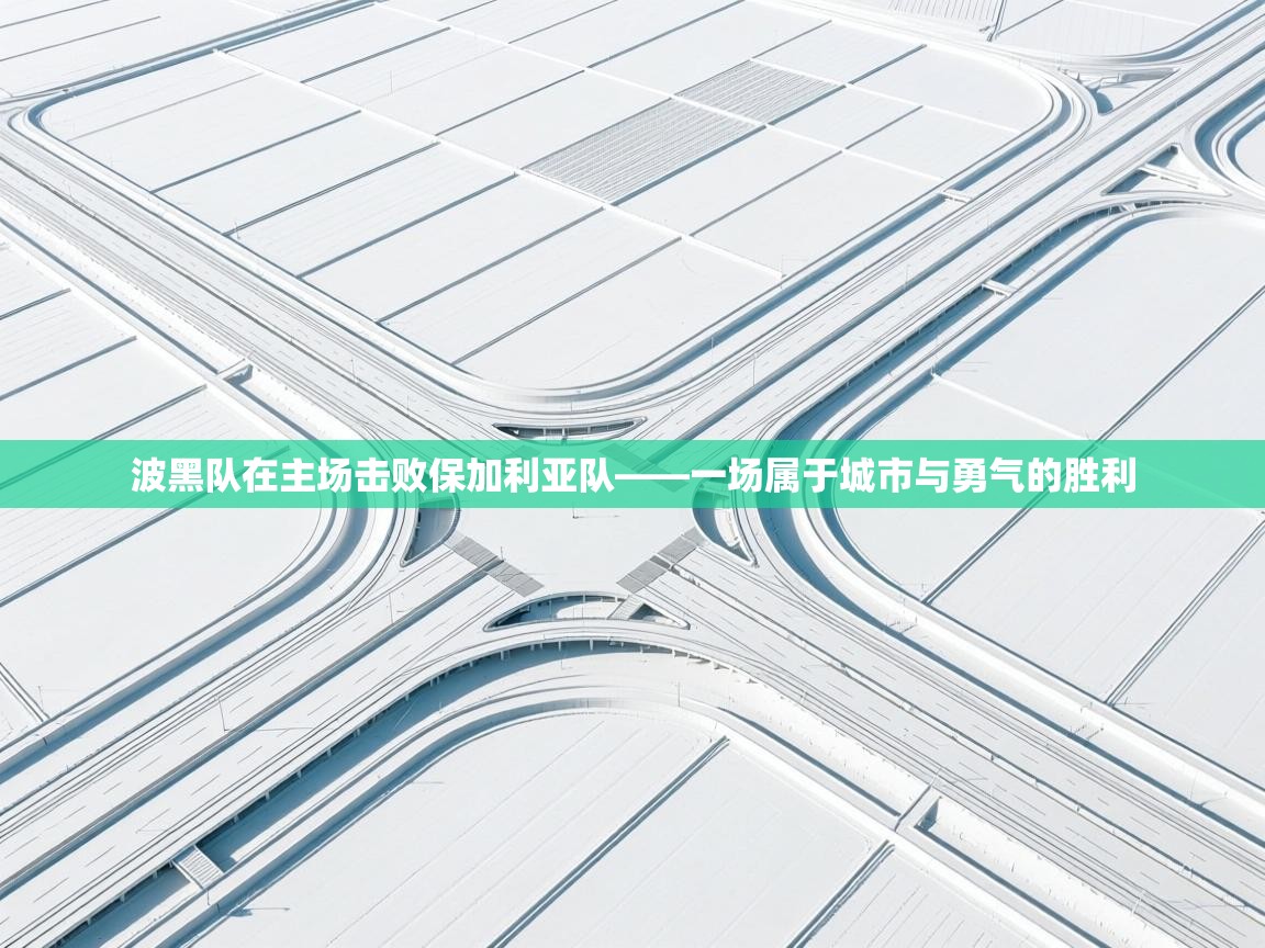 波黑队在主场击败保加利亚队——一场属于城市与勇气的胜利  第2张