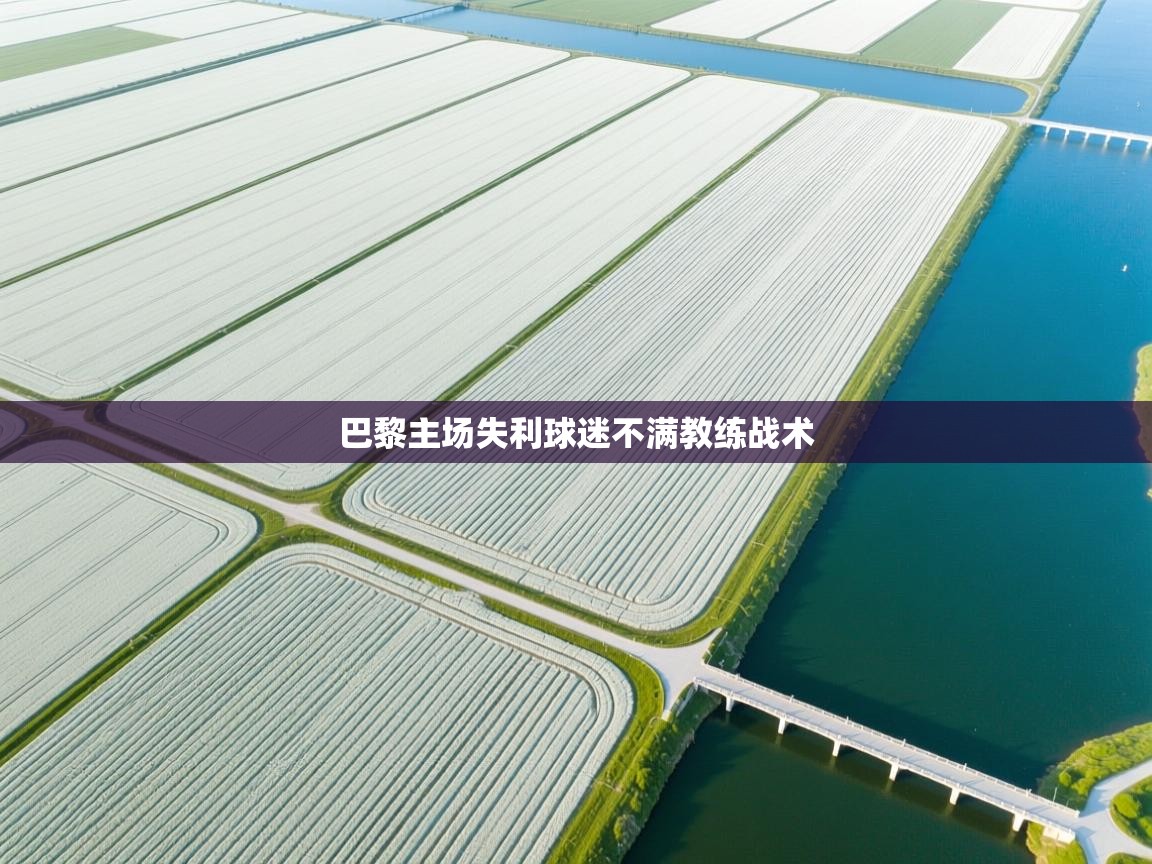 巴黎主场失利球迷不满教练战术