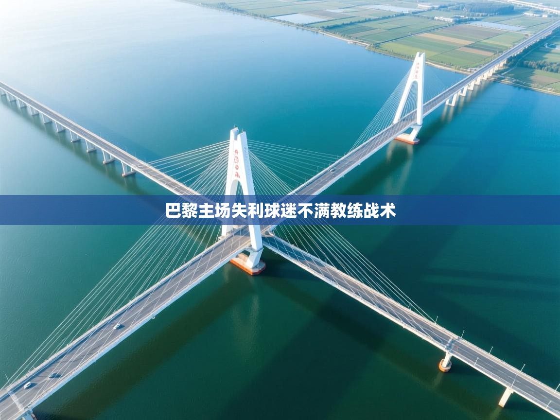 巴黎主场失利球迷不满教练战术  第2张