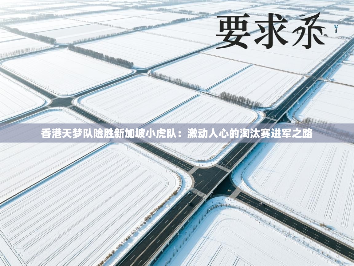 香港天梦队险胜新加坡小虎队：激动人心的淘汰赛进军之路  第2张