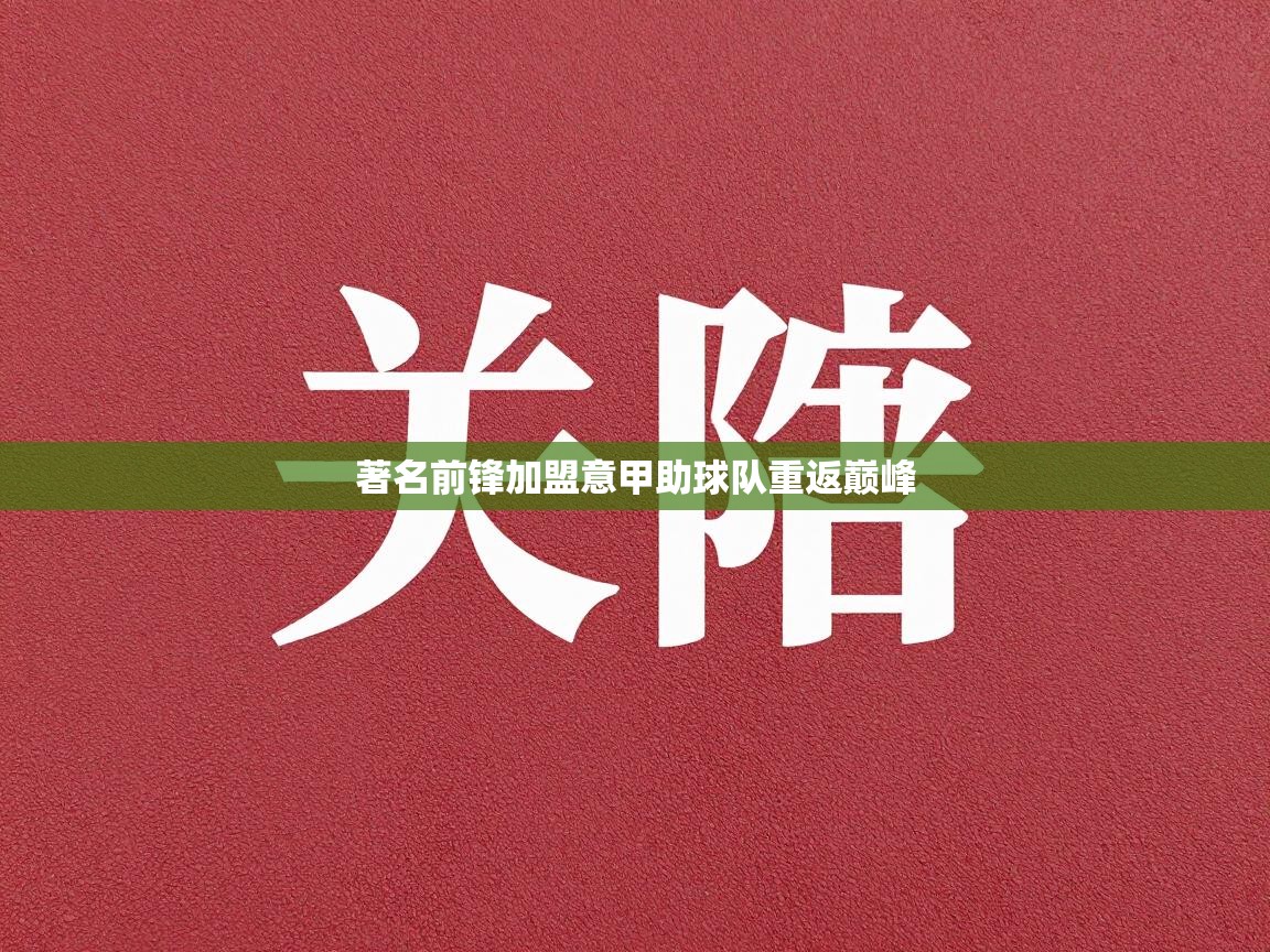 著名前锋加盟意甲助球队重返巅峰  第2张