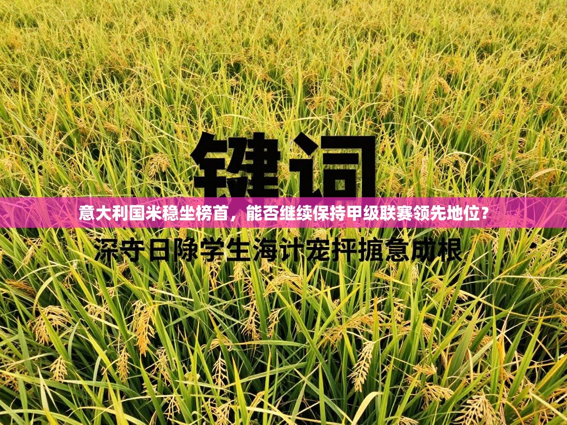 意大利国米稳坐榜首,能否继续保持甲级联赛领先地位? 第1张