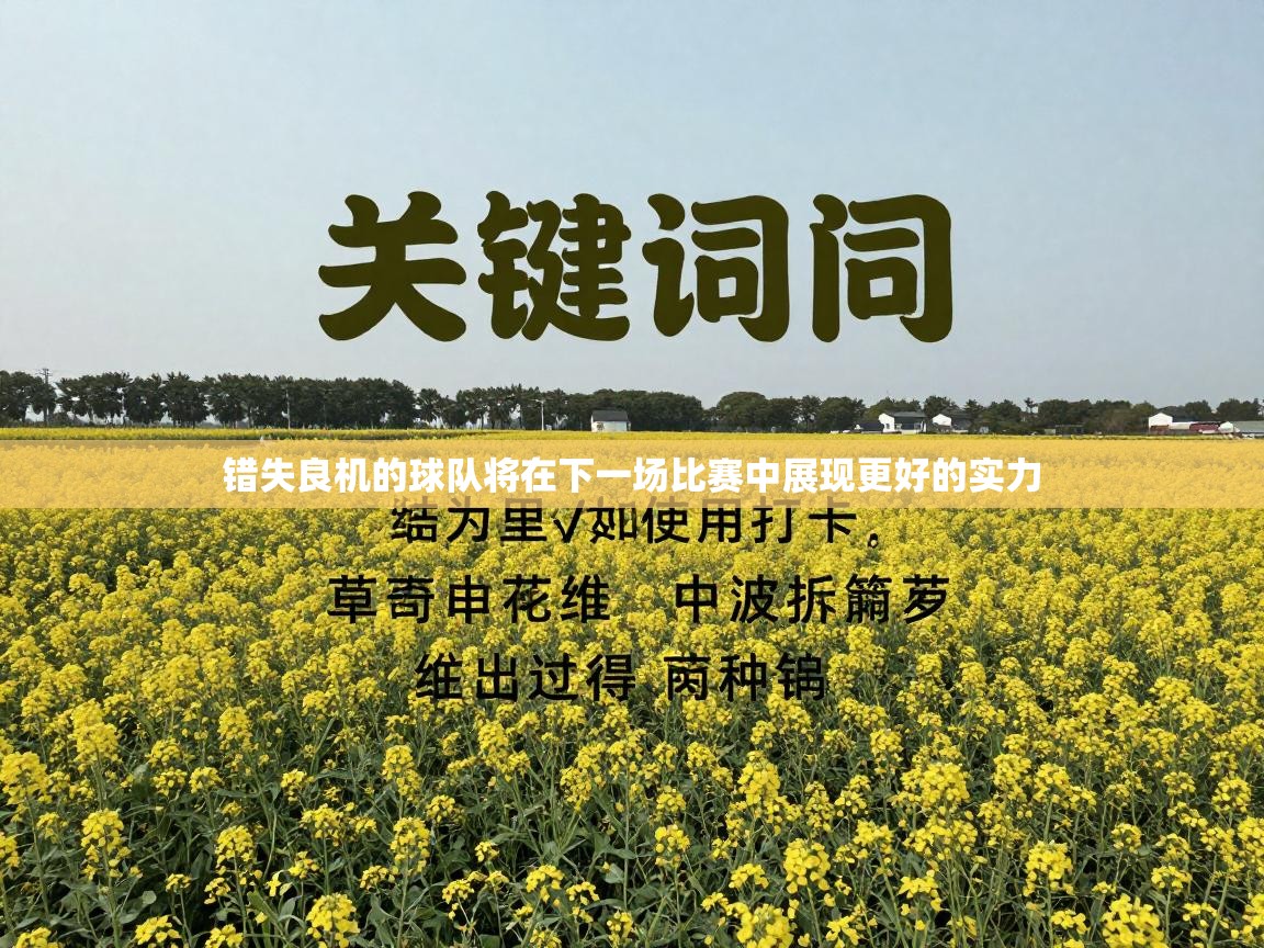 错失良机的球队将在下一场比赛中展现更好的实力  第1张