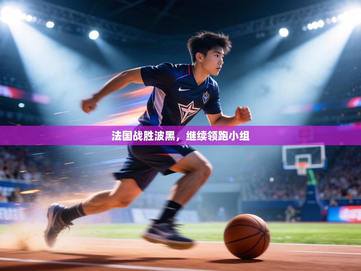 法国战胜波黑，继续领跑小组  第1张